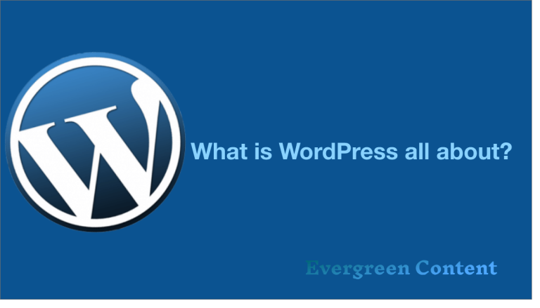 What is WordPress All About (100+ FAQs Answered)