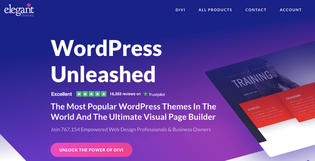 WordPress theme divi home page overview
