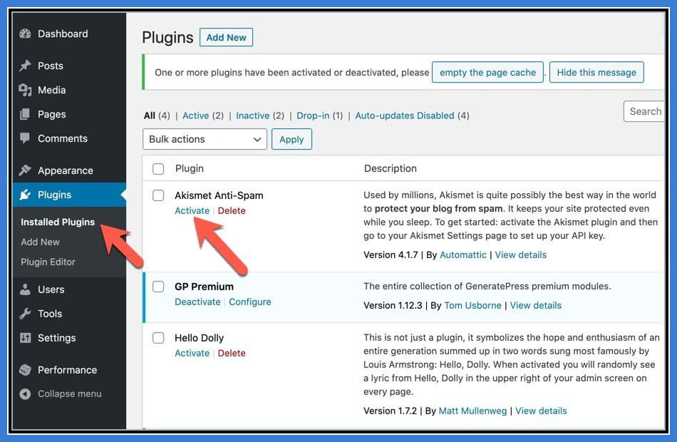 Akismet Spam Protection Plugin overview