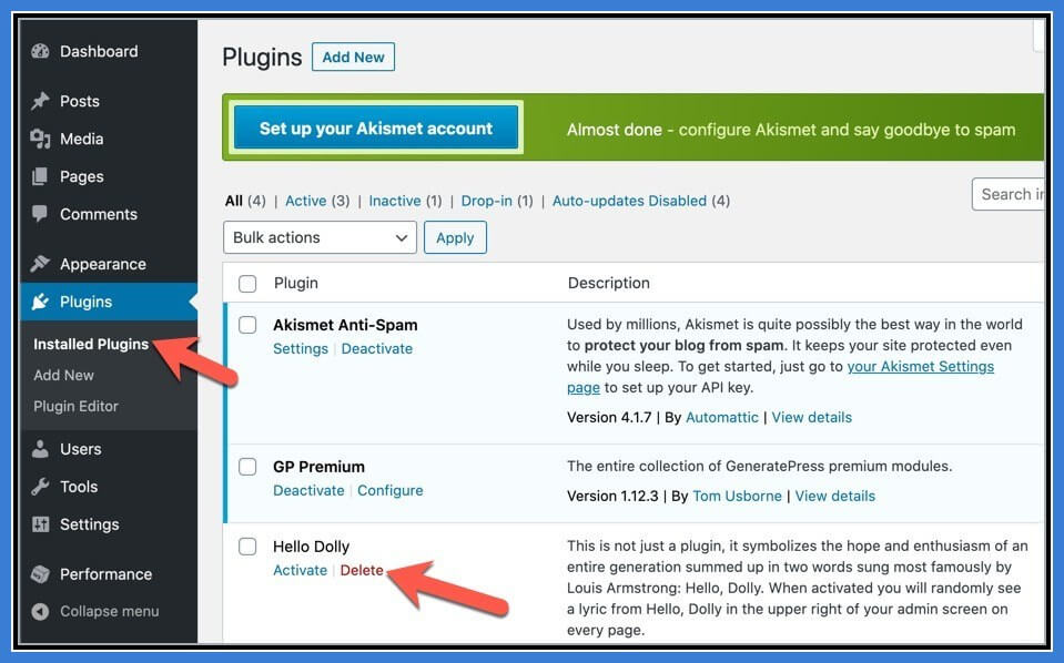 Delete auto installed unnecessary plugins from newly installed wordpress site