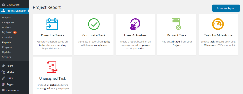 WordPress Project Manager plugin report section